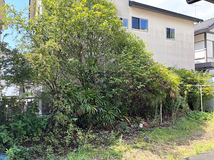 藤枝市 庭木の伐採Y様邸 ビフォー